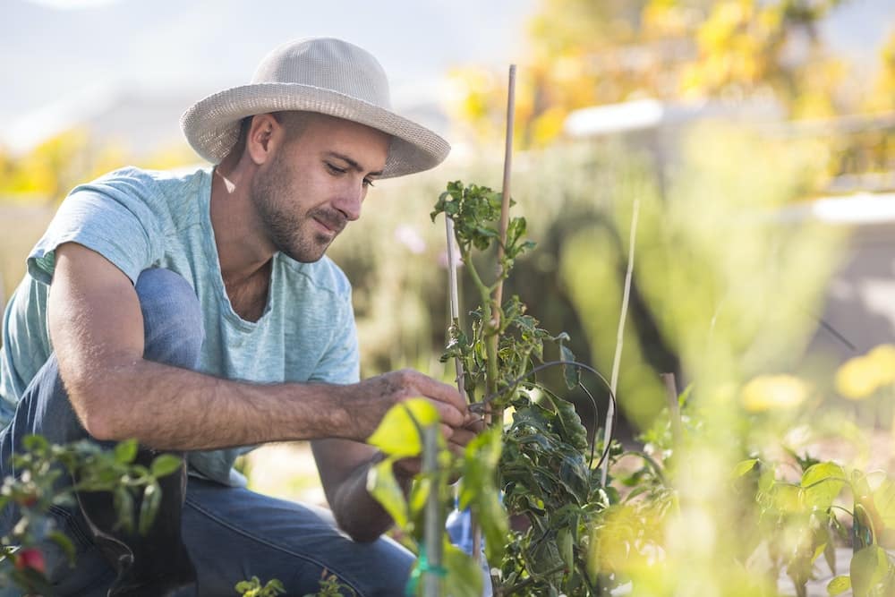 les dernières tendances en matière de santé et bien-être